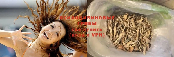 стафф Алзамай