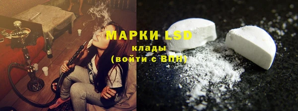 стафф Алзамай