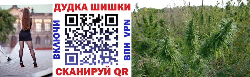 дарк нет Telegram  Славск  Канабис Amnesia  гидра ТОР 